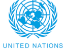 United Nations Logo